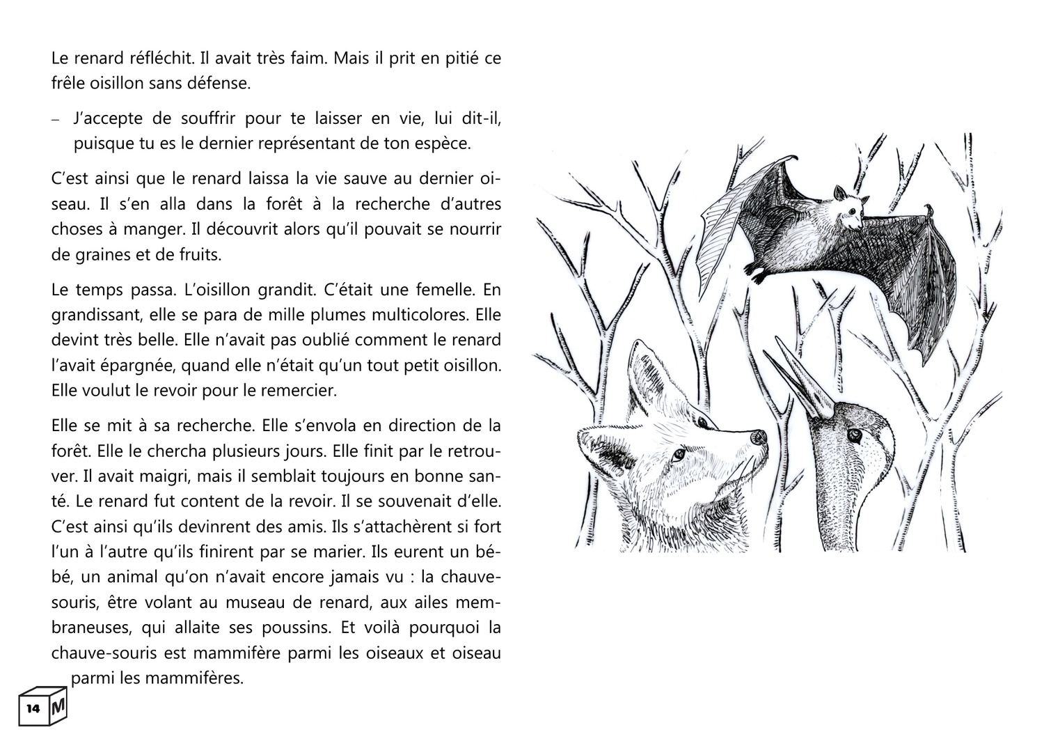 Moringa n° 1 (janvier 2026), page 14