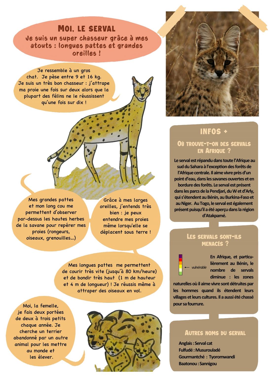 Spiru’mag n° 19 (octobre 2025), page 16